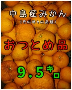 ESC愛媛県中島産みかんおつとめ品9.5㎏fm②