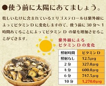 九州産　われ葉 乾しいたけ　40g×2袋セット 　 国産 無添加 無農薬 干ししいたけ 椎茸 しいたけ シイタケ 訳あり お徳用_画像7