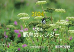北海道の野鳥　オリジナル写真カレンダー2024年