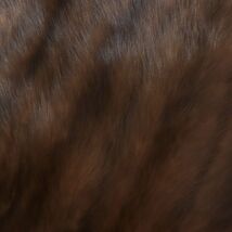 美品▼SABLE セーブル 本毛皮ショール/ストール ブラウン 毛質艶やか・柔らか◎_画像3