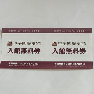 タイガース今年も応援価格。甲子園歴史館入場券 2枚