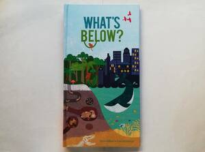 Clive Gifford, Kate McLelland / What’s Below?　Pop-Up Book しかけ絵本 英語絵本