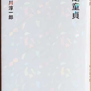 ★送料無料★ 『内定童貞』 本質を見極めれば「就活」はそこまで怖くない 合否は能力ではなく相性で決まる 企業の本音 中川淳一郎