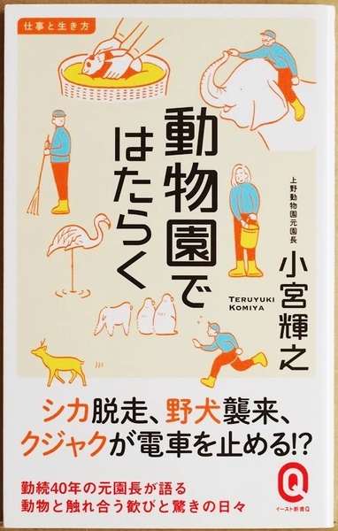 ★送料無料★ 『動物園ではたらく』 動物園ではたらく人々の、驚きと情熱の日々　動物園ではたらいて40年　小宮輝之 新書 ★同梱ＯＫ★