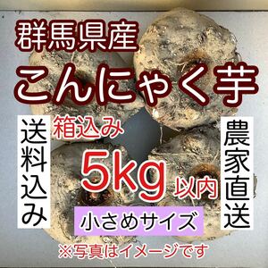 【群馬県産】こんにゃく芋　箱込み5kg以内　手作りこんにゃく用【小さめサイズ】