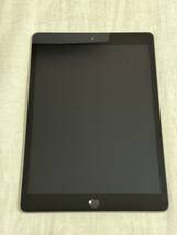 Apple IPad (第7世代) 32GB Wi-Fi+Cellularスペースグレイ MW6A2J/A 本体のみ 極美品_画像8