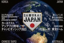 定価割れ 11月19日 アジアプロ野球チャンピオンシップ 決勝戦3位決定戦 ライト外野指定席(侍ジャパン側)通路側激近 4連番能(2枚or4枚)11/19_画像3