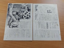 切抜き/読物/ミスターサルトビ 宮崎惇 吉田郁也/海の王者大和 高城肇 依光隆/懸賞 フライングエース/少年マガジン1964年16号掲載_画像2