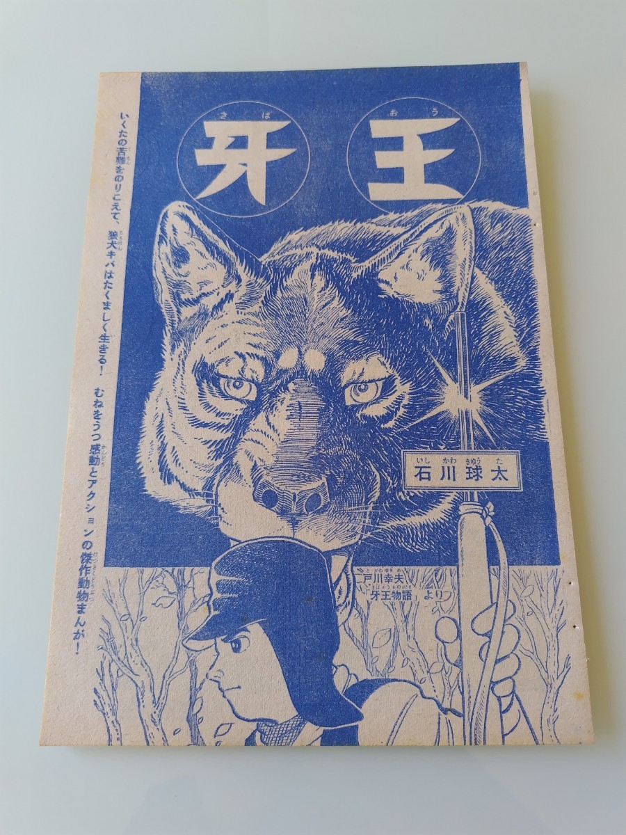 2025年最新】Yahoo!オークション -少年マガジン 1966の中古品 2025年最新】Yahoo!オークション -少年マガジン 1966の中古品