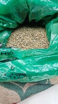 ブラジル ベラビスタ農園　ベリースペシャル 生豆　3kg 中平セレクション_画像3