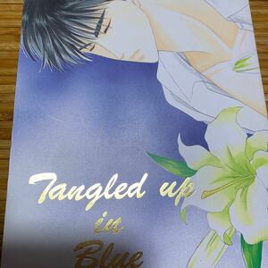 スラムダンク同人誌★再録集★KOOL/村越ひろみ★TANGLED UP IN BLUE★流川×花道/流花