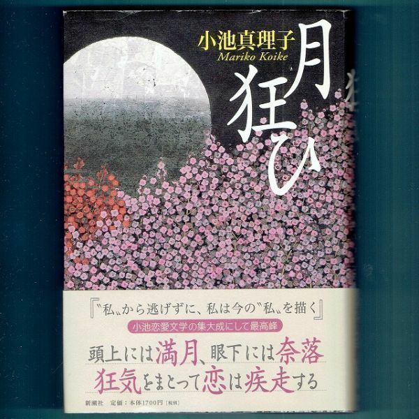 ◆送料込◆『 月狂ひ』直木賞作家・小池真理子（初版・元帯）◆（108）