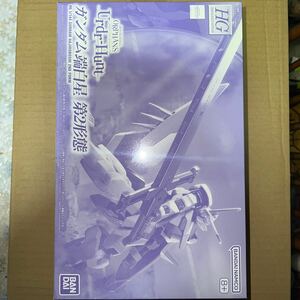 プレミアムバンダイ限定 ＨＧ 1/144 ガンダム端白星 第２形態 未組立未開封品 BANDAI HG ガンプラ 