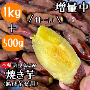 どっさり1.5kg!!熟成さつまいも◎ 焼き芋 国産 訳あり 干し芋 好きにd