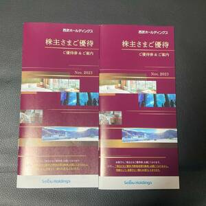 西武ホールディングス 冊子 2冊 1000株以上 株主さまご優待券 2024年5月31日まで 共通割引券 20枚 スキーリフト割引券 株主優待 割引券