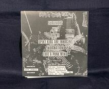 レア the ADDICTION VOICE OF BRISTLE PUNK 7ep レコード ハードコア 1995 委託品_画像2