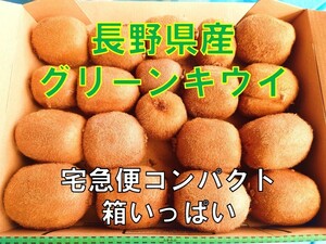 キウイフルーツ 長野産 ＜宅急便コンパクト入るだけ＞〈規格外品・家庭用〉