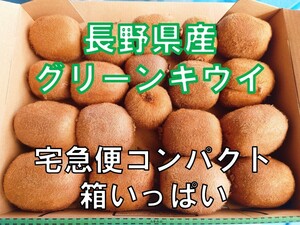 キウイフルーツ 長野県産 ＜宅急便コンパクト入るだけ＞〈規格外品・家庭用〉