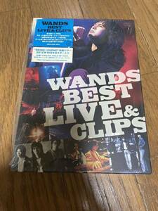 WANDS BEST LIVE&CLIPS DVD 美品