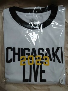 サザンオールスターズ 茅ヶ崎ライブ2023グッズ　CHIGASAKI LIVE Tシャツ　M