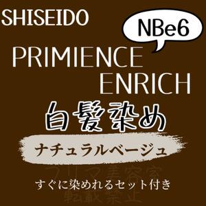 最安値　NBe6 資生堂　白髪染め　ショート　メンズ　ヘアカラー剤　セット付　ナチュラル　ブラウン　ベージュ　グレーカラー　ヘアカラー