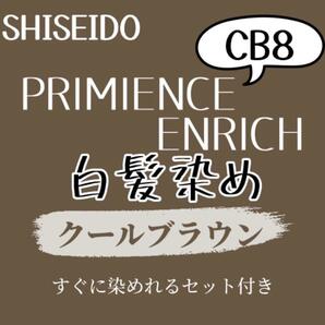 最安値　CB8 資生堂　白髪染め　ショート　メンズ　ヘアカラー剤　セット付　ナチュラル　グレー　ブラウン　グレーカラー　ヘアカラー