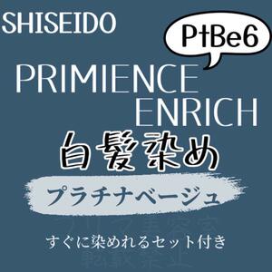 最安値　PtBe6 資生堂　白髪染め　ショート　メンズ　ヘアカラー剤　セット付　プラチナ　ベージュ　グレー　アッシュ　ヘアカラー