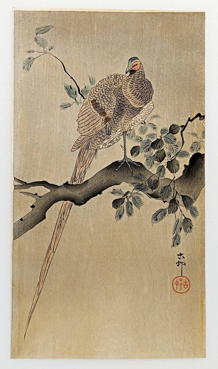 2023年最新】Yahoo!オークション -小原古邨の中古品・新品・未使用品一覧