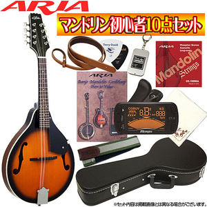 マンドリン超オトクな１０点セット！／ARIA アリア AM-20＋小物９点/AM20/ブルーグラス【smtb-KD】【RCP】：-p5