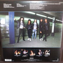 LP 国内盤/ANTHRAX AMONG THE LIVING_画像2