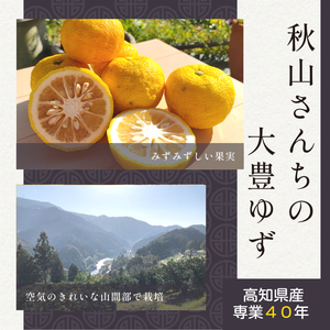 【青果柚子・Yahoo!フリマ版】秋山さんちの大豊ゆず★2kg★専業40年【全国一位の高知県産・産地直送・送料無料・柚子】