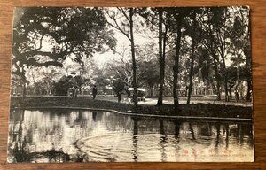 JJ-1687 ■送料込■ 台湾 屏東県 屏東公園 池 風景写真 自然 絵葉書 写真 古写真 印刷物/くFUら