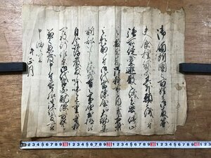 LL-6562 ■送料込■ 江戸時代 食種貸 御代官陳屋 和書 古書 古文書 /くYUら