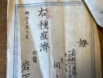 RR-5430■送料込■右種痘済 証 証明書 種痘 天然痘 予防注射 ワクチン 長野県 信濃国 印刷物 明治12年 ●2枚まとめて/くOKら_画像6