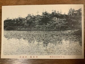 FF-7444 ■送料込■ 青森県 八甲田山 沼 御花萢 睡蓮沼 自然 火山 風景 景色 レトロ 登山 山 郵便 絵葉書 古葉書 写真 古写真/くNAら