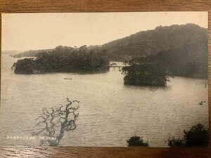 FF-7829 ■送料込■ 宮城県 松島 観瀾亭より雄島 風景 景色 自然 海 島 橋 観光 レトロ 郵便 名所 絵葉書 古葉書 写真 古写真/くNAら