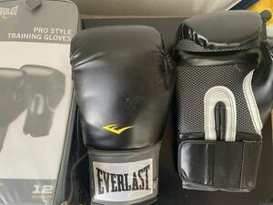 EVERLAST エバーラスト パンチンググローブ　12oz バッグ付き ボクシング