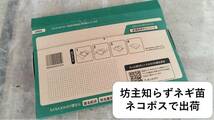 ぼうずしらずねぎ苗15本（おまけ付き）　輸送費を抑えたネコポス発送　※梱包のため、根と葉はカットして出荷します_画像5