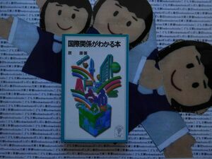 岩波ジュニア新書NO.329 国際関係がわかる本　原康　外交の作法　国際社会　秩序　平和　人権　環境　コソボ　ユーロ