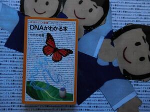 岩波ジュニア新書NO.291 DNAがわかる本　中内光昭　遺伝子　発生生物学　細胞　診断