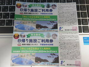 藤田観光 株主優待券 日帰り施設ご利用券 2枚セット 小涌園ユネッサン・下田海中水族館 ～2024.3/31【普通郵便・送料無料】