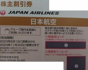 JAL 株主優待券 日本航空 1枚 有効期限２０２４年１１月３０日まで搭乗分