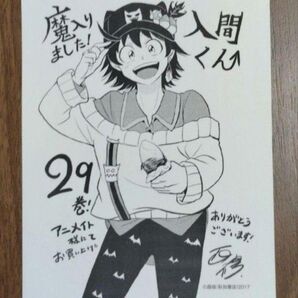 魔入りました入間くん29巻購入特典入間くん