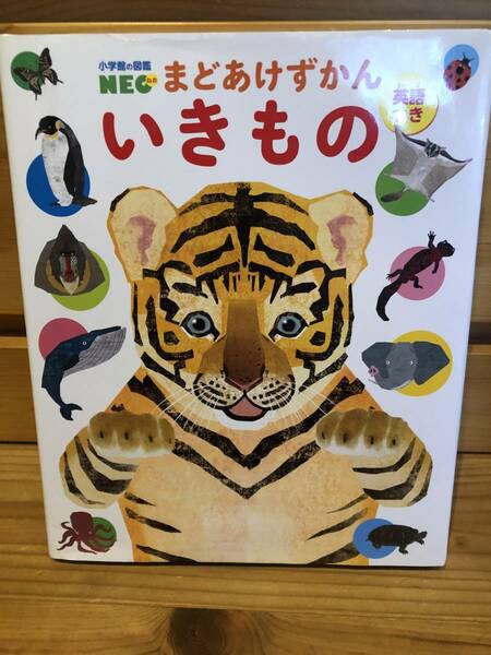 ※送料込※「小学館の図鑑NEO　まどあけずかん　いきもの　英語つき」古本