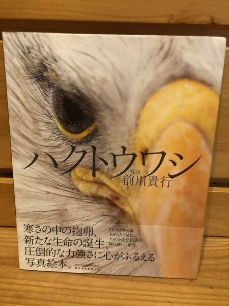 ※送料込※「絵本　ハクトウワシ　前川貴行　新日本出版社」古本