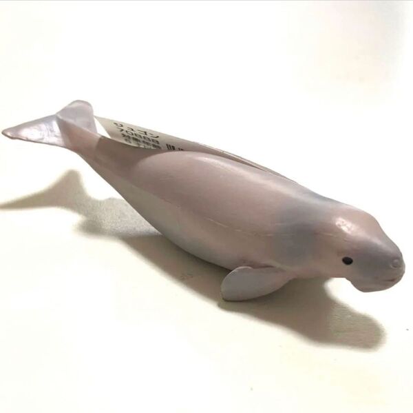 ミニチュアプラネット フィギュア 海の生き物 置物 ジュゴン