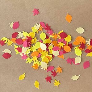 クラフトパンチ　リーフ3種類　秋色　色画用紙