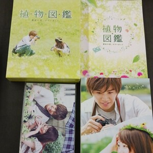 Blu-ray_8】植物図鑑 運命の恋、ひろいました 豪華盤 2枚組