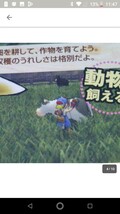 PS2【牧場物語3】ビクター　送料無料、返金保証_画像4