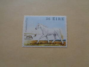 アイルランド切手　1981年　Connemara-Pony &#34;Coosheen Finn&#34; (Equus ferus caballus)　クーシーン・フィン　コネマラポニー　36